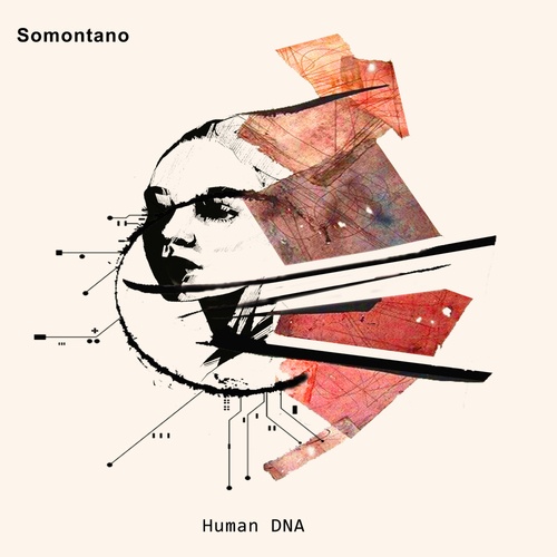 Somontano-Human DNA