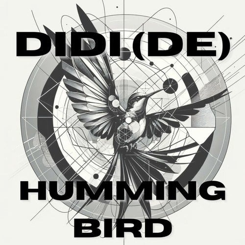 Didi (De)-Humming Bird