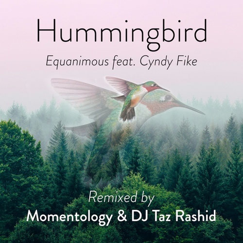 Equanimous, Cyndy Fike, Momentology, DJ Taz Rashid-Hummingbird