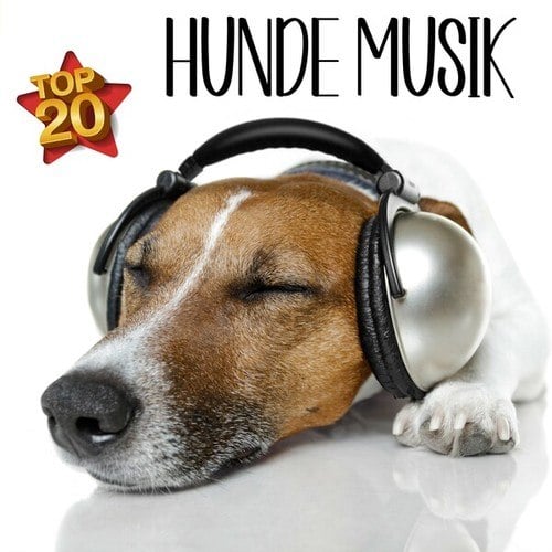 Hunde Musik Top 20
