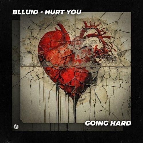 Blluid-Hurt You