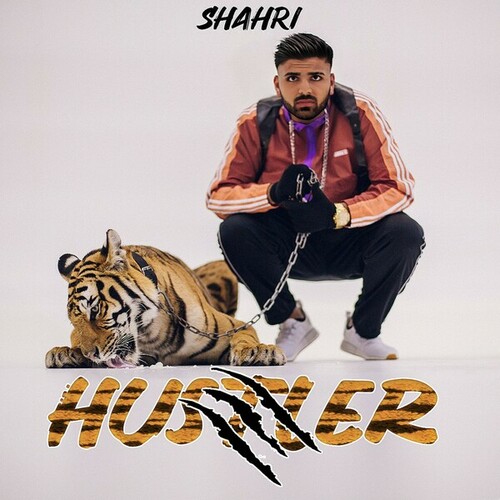 Shahri-Hustler