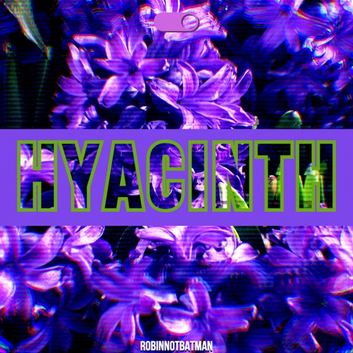 Robinnotbatman-Hyacinth