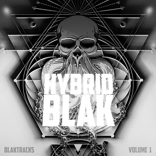 Various Artists-HYBRID BLAK : BLAKTRACKS, VOL. 1