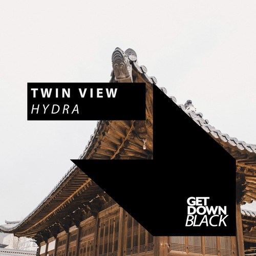 Twin View-Hydra