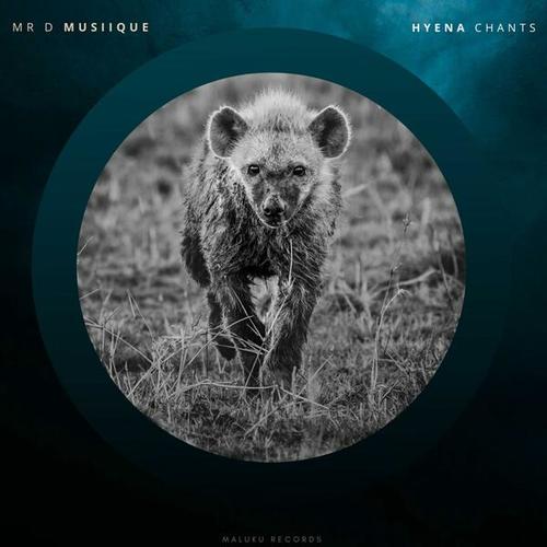Mr D Musiique-Hyena Chants