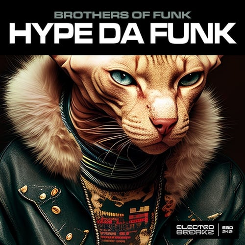Brothers Of Funk-Hype Da Funk