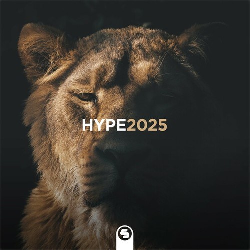 Various Artists-Hype2025