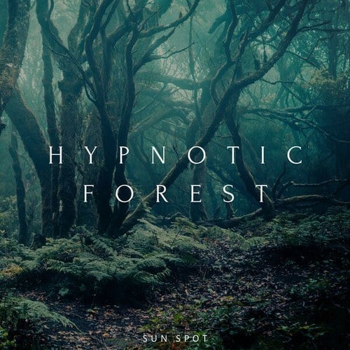 Hypnotic Forest