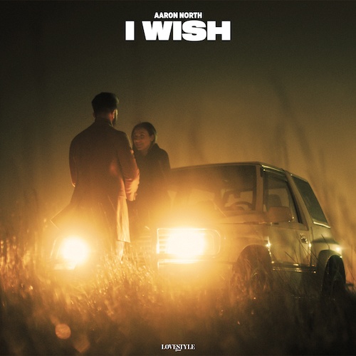 Aaron North-I Wish