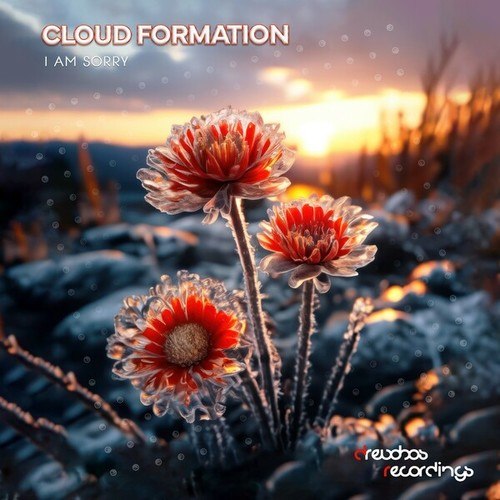 Cloud Formation-I Am Sorry