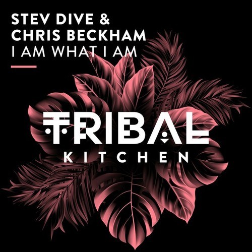Chris Beckham, Stev Dive-I Am What I Am (Extended Mix)