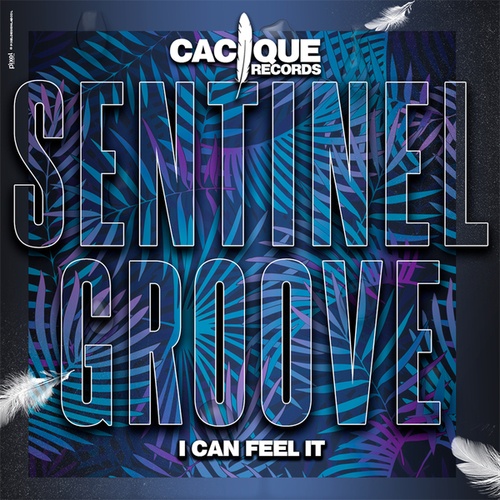 Sentinel Groove-I Can Feel It