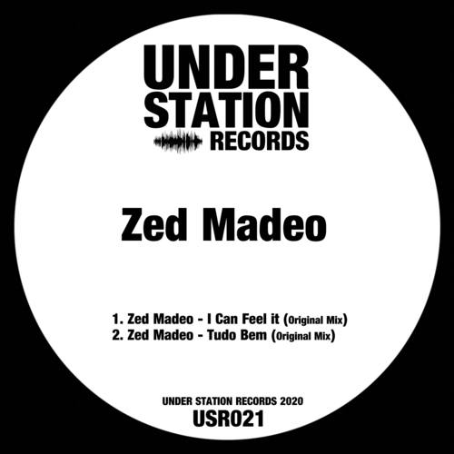 Zed Madeo-I Can Feel it