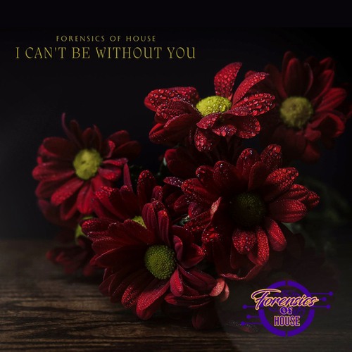 Forensics Of House-I Can't Be Without You
