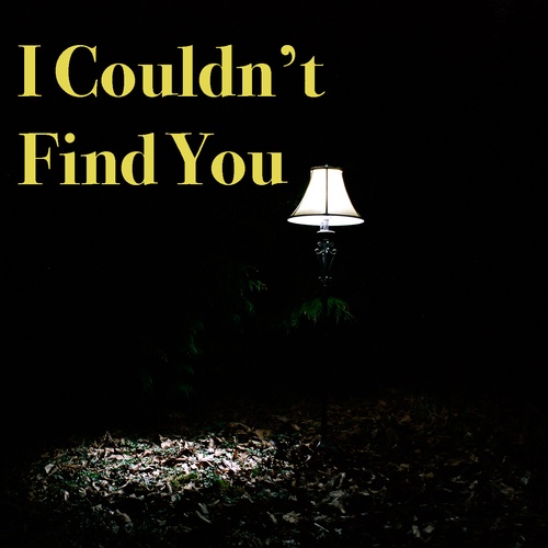 I Couldn't Find You