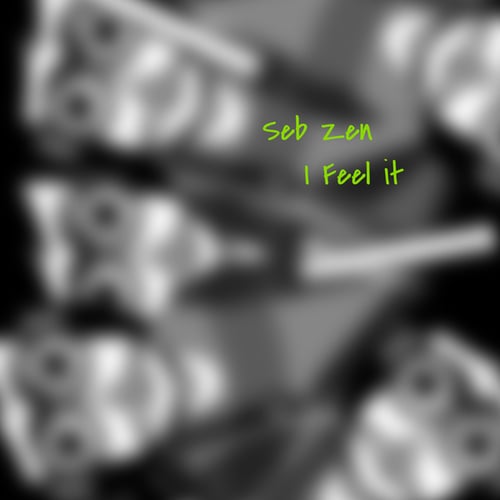 Seb Zen-I Feel It