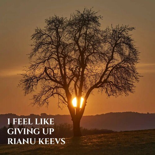 Rianu Keevs-I Feel Like Giving Up