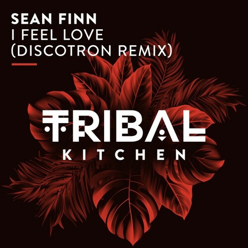 Sean Finn, Discotron-I Feel Love (Discotron Extended Remix)