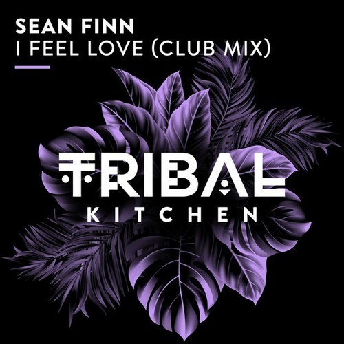 I Feel Love (Extended Club Mix)