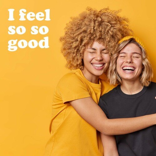 Various Artists-I Feel so so Good