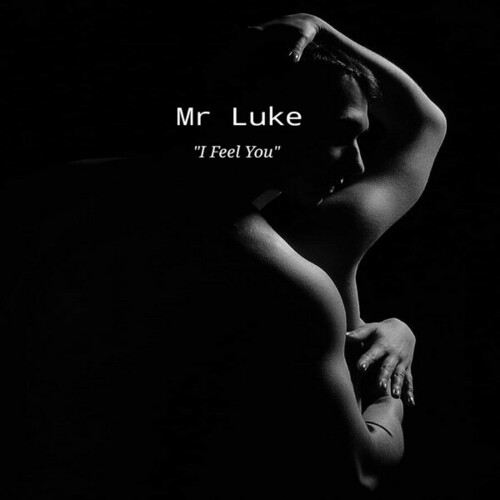 Mr Luke-I Feel You