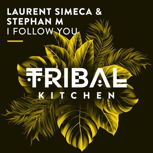 Laurent Simeca, Stephan M-I Follow You (Extended Mix)