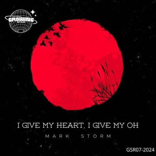 Mark Storm-I Give My Heart, I Give My Oh