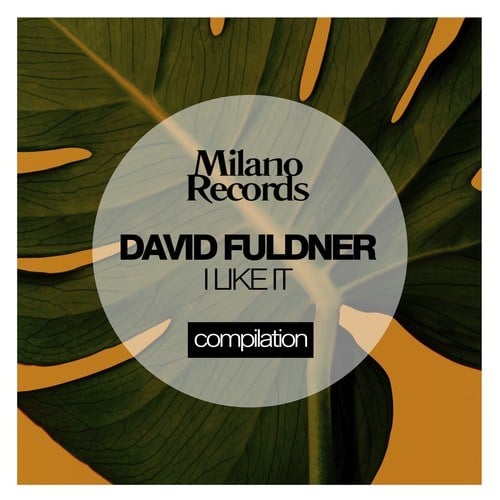 David Fuldner-I Like It