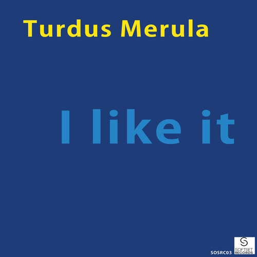 Turdus Merula-I Like It