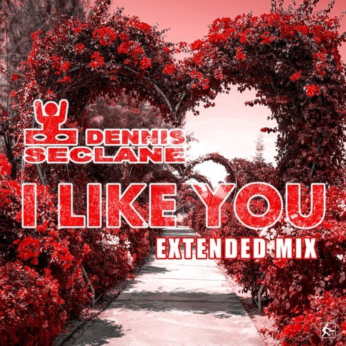 Dennis Seclane-I Like You (Extended Mix)