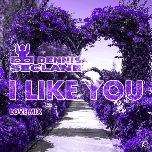 Dennis Seclane-I Like You (Love Mix)