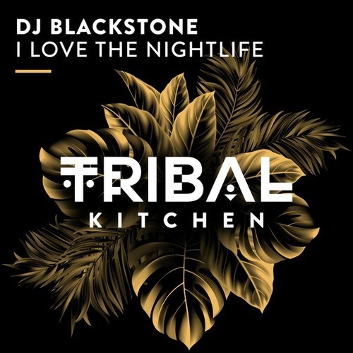 Dj Blackstone-I Love the Nightlife