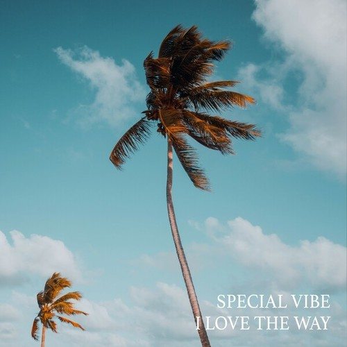 SKIY-I Love the Way