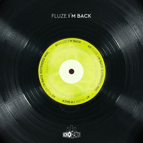 Fluze-I'm Back