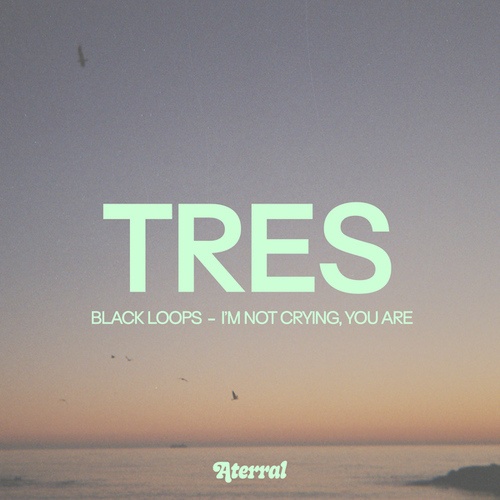 Black Loops-I'm Not Crying, You Are