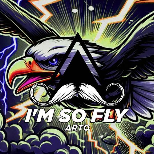 ARTO-I'm so Fly