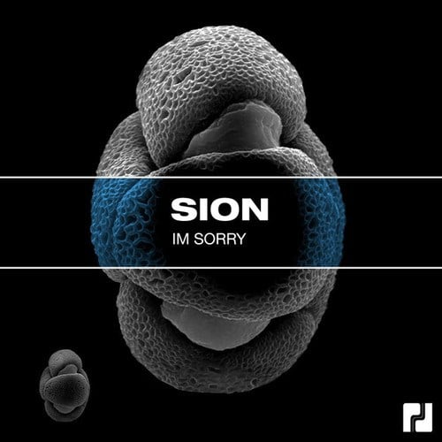 SION-I'm Sorry