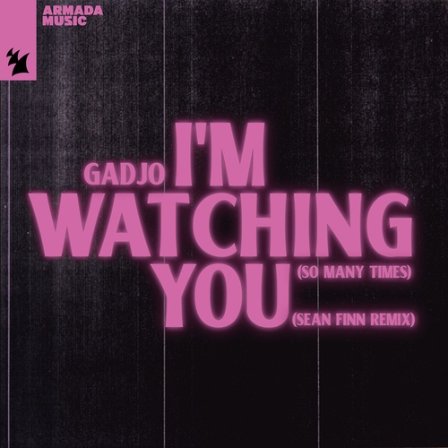 Gadjo, Sean Finn-I'm Watching You (So Many Times)