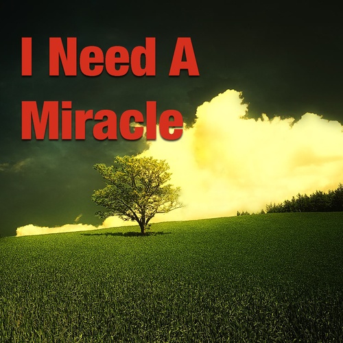 I Need A Miracle