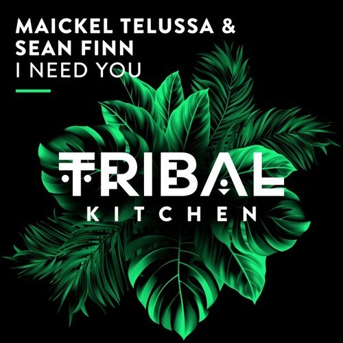 Maickel Telussa, Sean Finn-I Need You (Extended Mix)