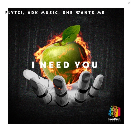 FLYTZ!, Adk Music, She Wants Me-I Need You