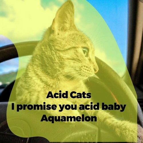 Acid Cats-I Promise You Acid Baby