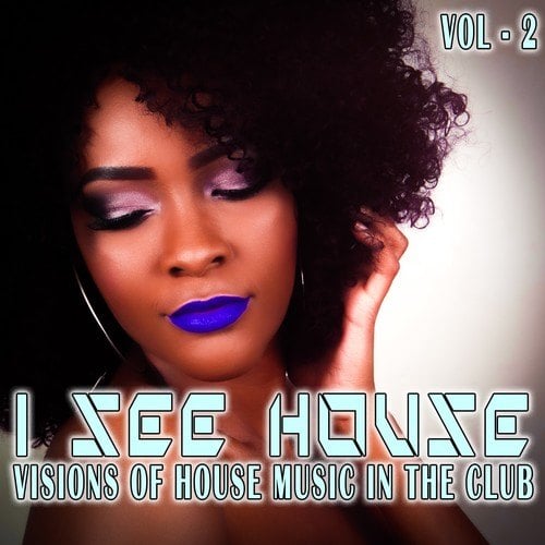 I See House, Vol. 2 (Visions of House Music in the Club)