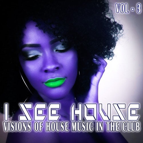 I See House, Vol. 3 (Visions of House Music in the Club)