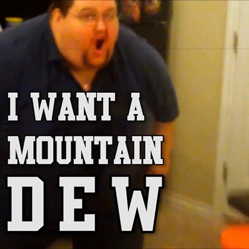 The Gregory Brothers, Boogie2988-I Want a Mountain Dew