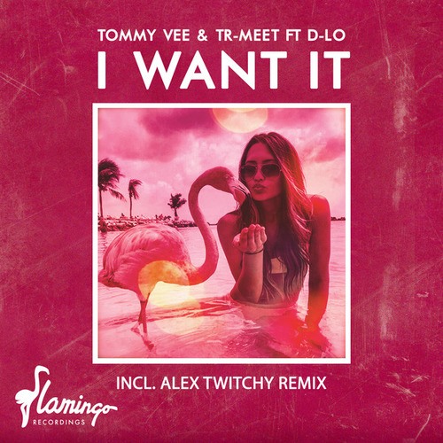 Tommy Vee, Tr-Meet, D-LO, Alex Twitchy-I Want It