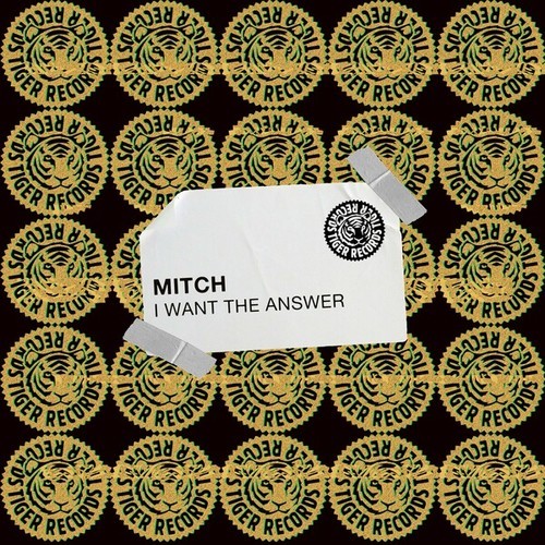 Mitch-I Want the Answer