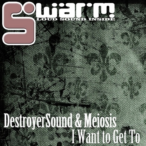 DestroyerSound, Meiosis-I Want to Get To