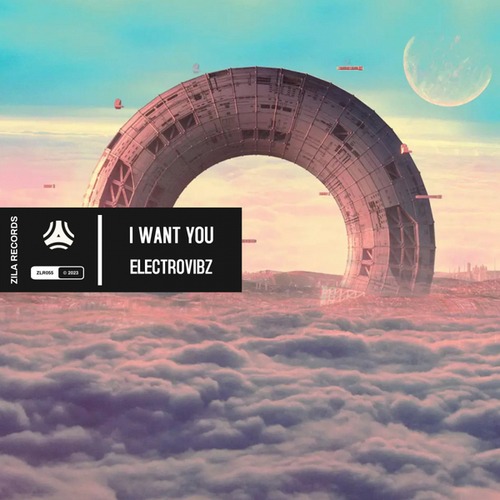 ElectroVibZ-I Want You